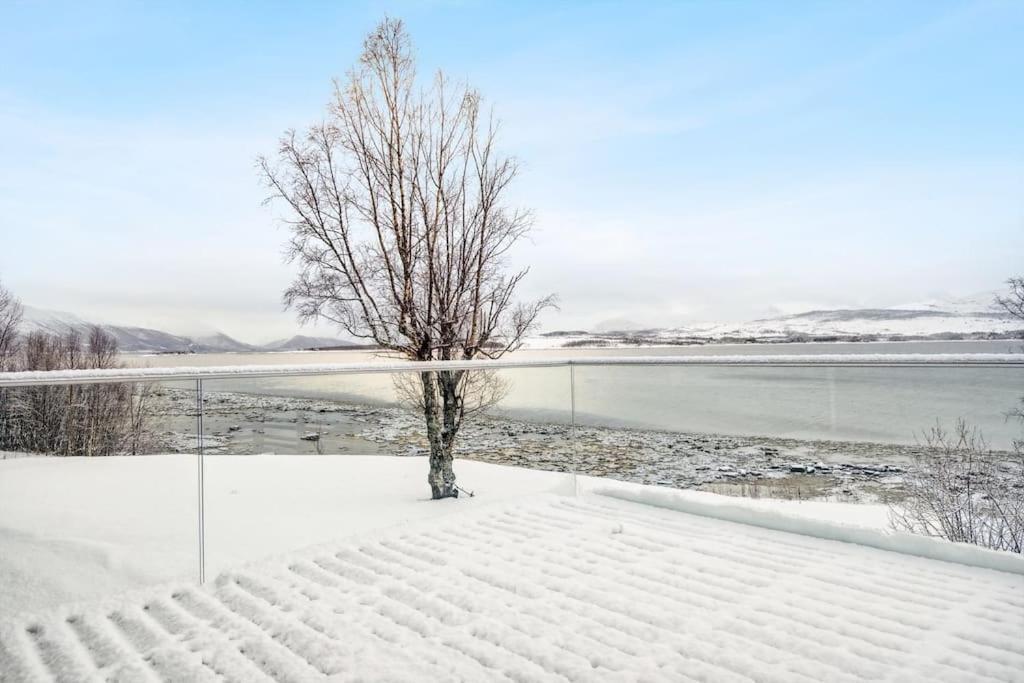 Hus Med Egen Strandlinje Tromsø Zewnętrze zdjęcie